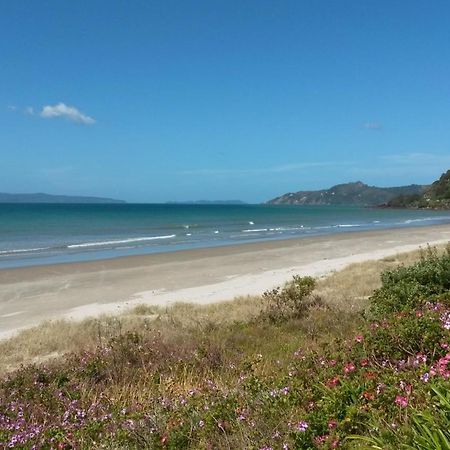 Waimaire Matarangi Bed and Breakfast Εξωτερικό φωτογραφία