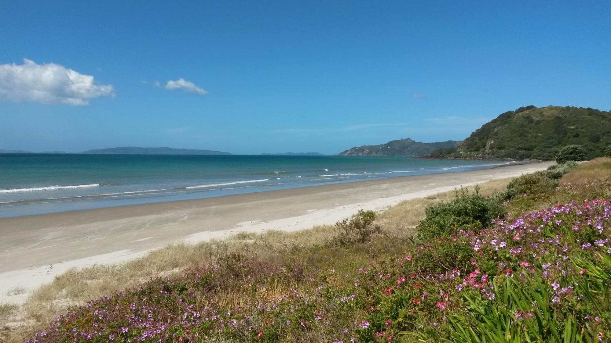 Waimaire Matarangi Bed and Breakfast Εξωτερικό φωτογραφία